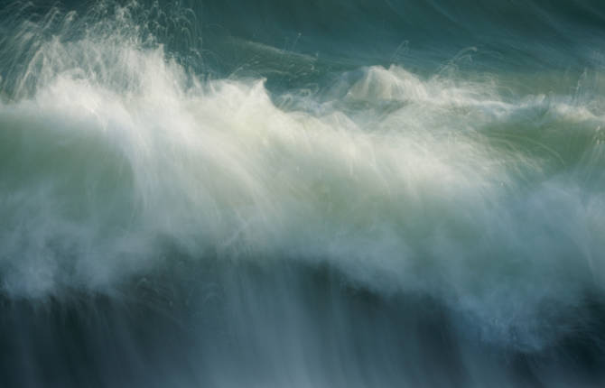 Extraordinary Nature by Rachael Talibart