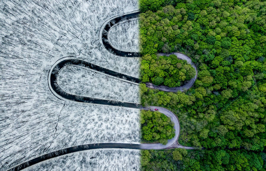 The Drone Photography Award of the Year