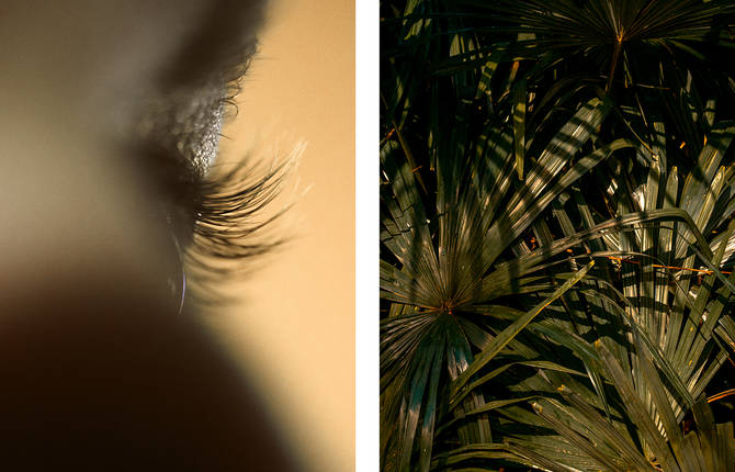 Contrasts Between Nature and Urbanity by Al Mefer