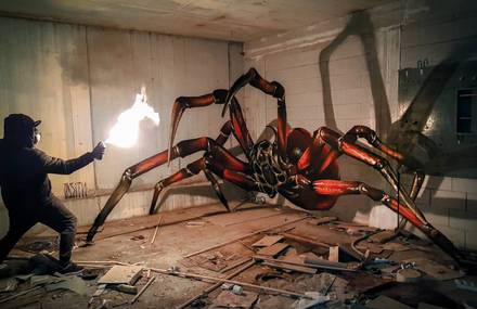 3D Illusions Insects In The Street&rsquo;s Walls