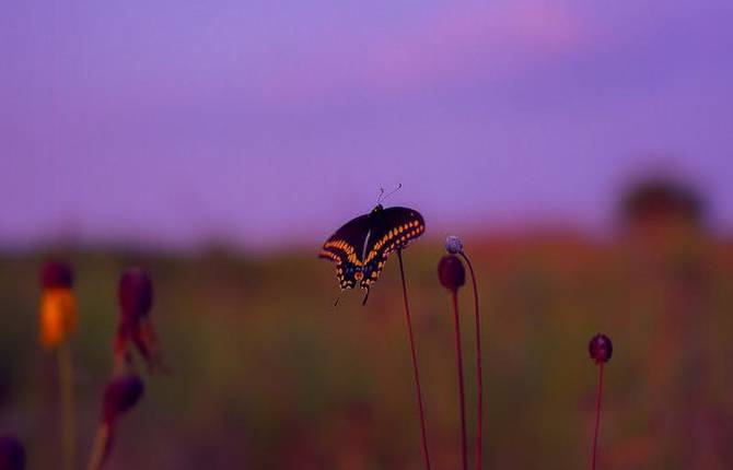 Poetic Photography By Thomas Jordan