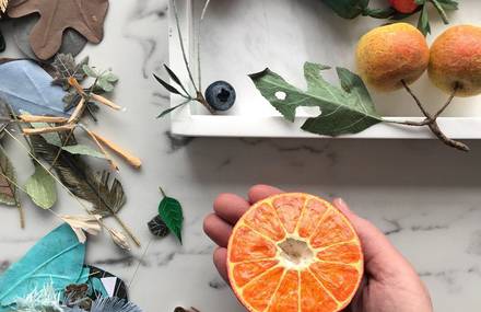 Hyper-Realistic Paper Fruit & Vegetables