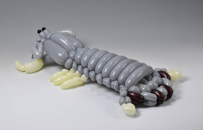 Animal and Plant Balloon Sculptures