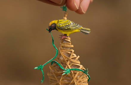 Miniature Watercolored Birds