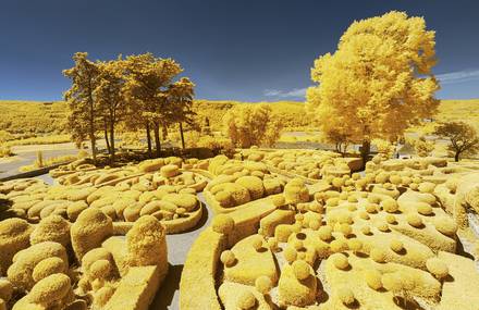 Infrared Yellow Colored French Landscapes