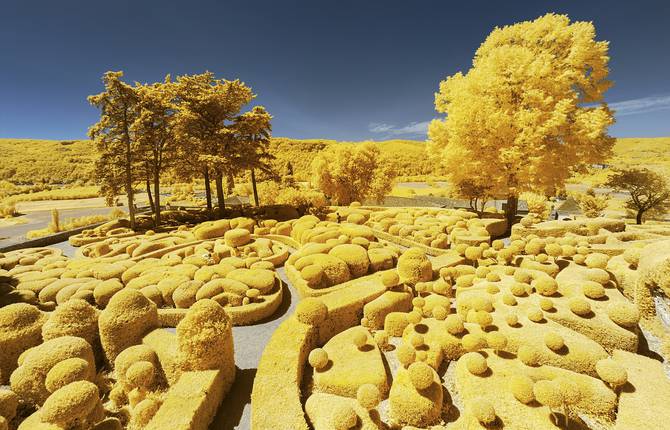 Infrared Yellow Colored French Landscapes