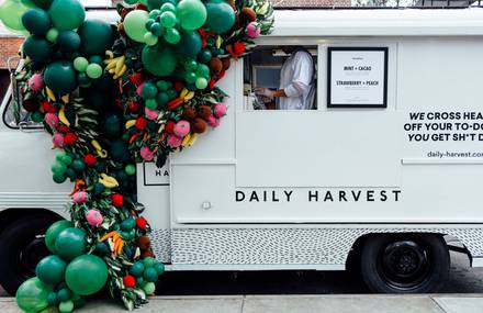 Fruit & Vegetables Made from Wool