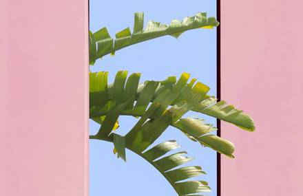 Colorful Minimalistic Photography By Collin Pollard