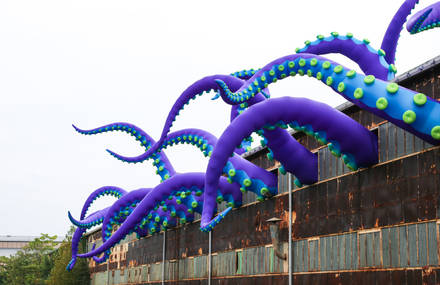 A Gigantic Inflatable Sea Monster in Philadelphia