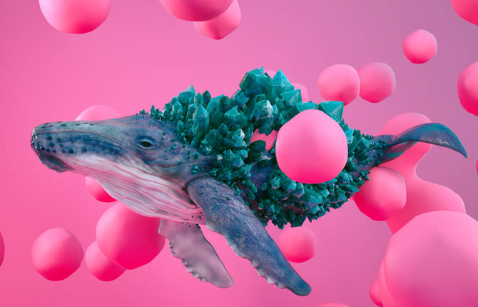 Crystallized Animals By Kota Yamaji