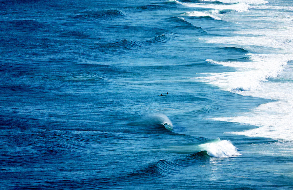 Morgan Maassen photograph