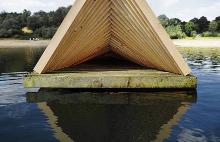 Wood Island on a Lake