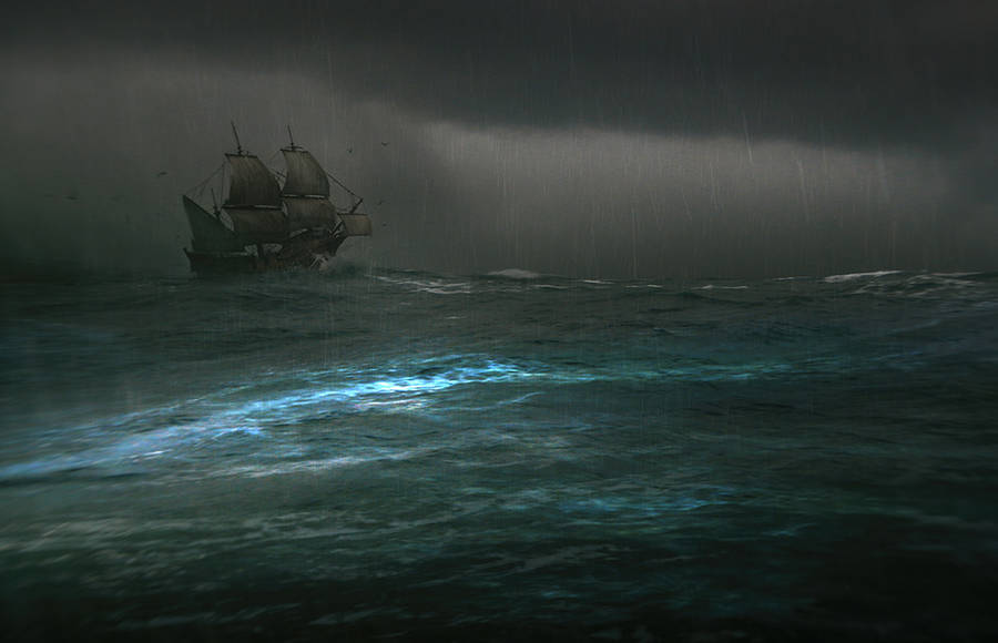 Discover Thomas Dubois&rsquo;s Dark Waters
