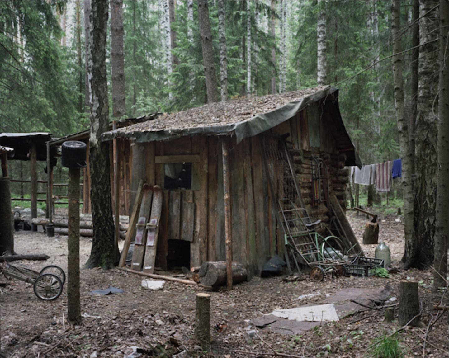 Жизнь в лесу отшельники. Дом отшельника в тайге. Боровецкий лес дом отшельника. Отшельники в России.