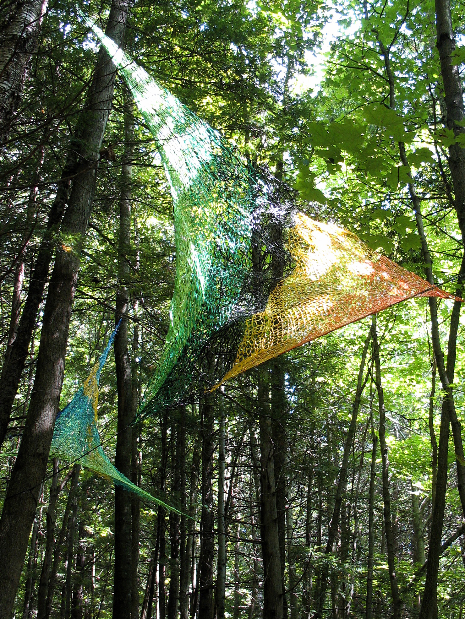 Edith_Meusnier_-_Artefact_-_Bois_de_Belle_Rivière_-_Québec_-_été_2010