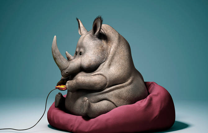These Lazy Animals are the Epitome of Netflix and Chill