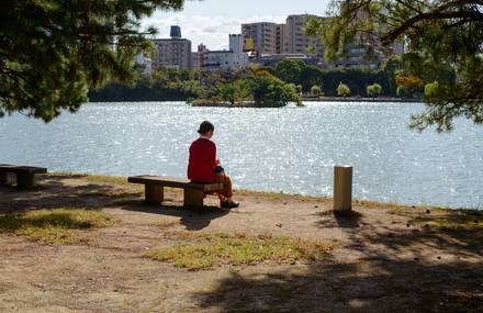 Loneliness & Love in Tokyo