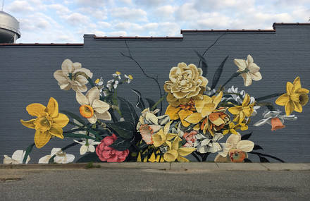 Beautiful Huge Floral Murals by Ouizi