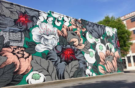 Beautiful Huge Floral Murals by Ouizi