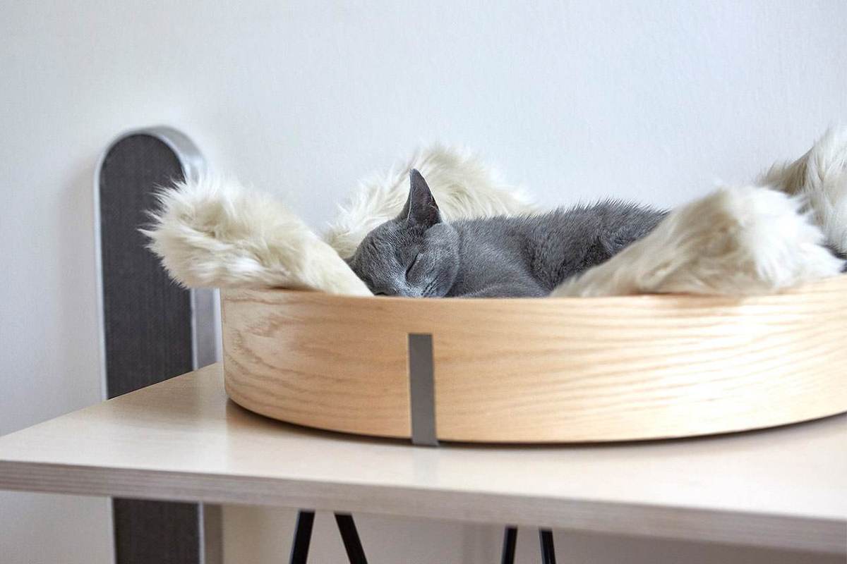 tuft paw cat beds 01