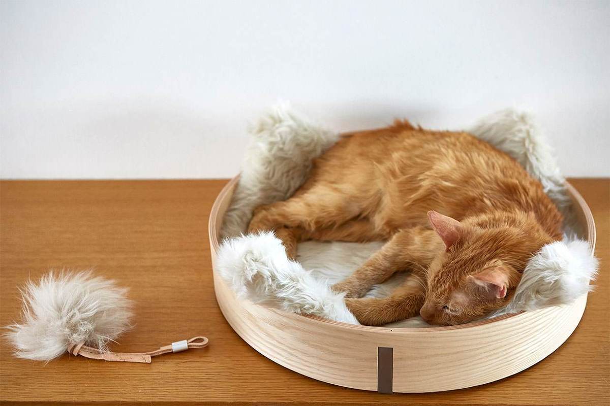 tuft paw cat beds 02