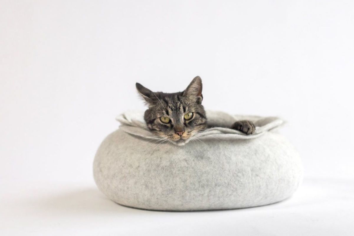 tuft paw cat beds 04
