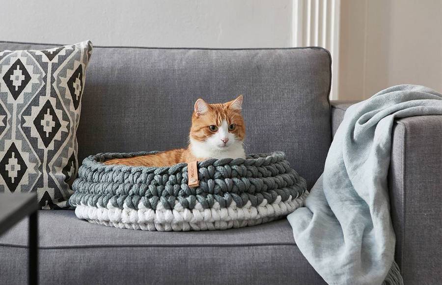 Contemporary Cat Furniture that Goes Well in Any Home