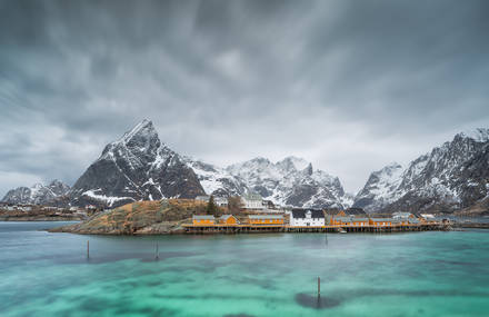 Pure Lofoten: Nature at its Finest