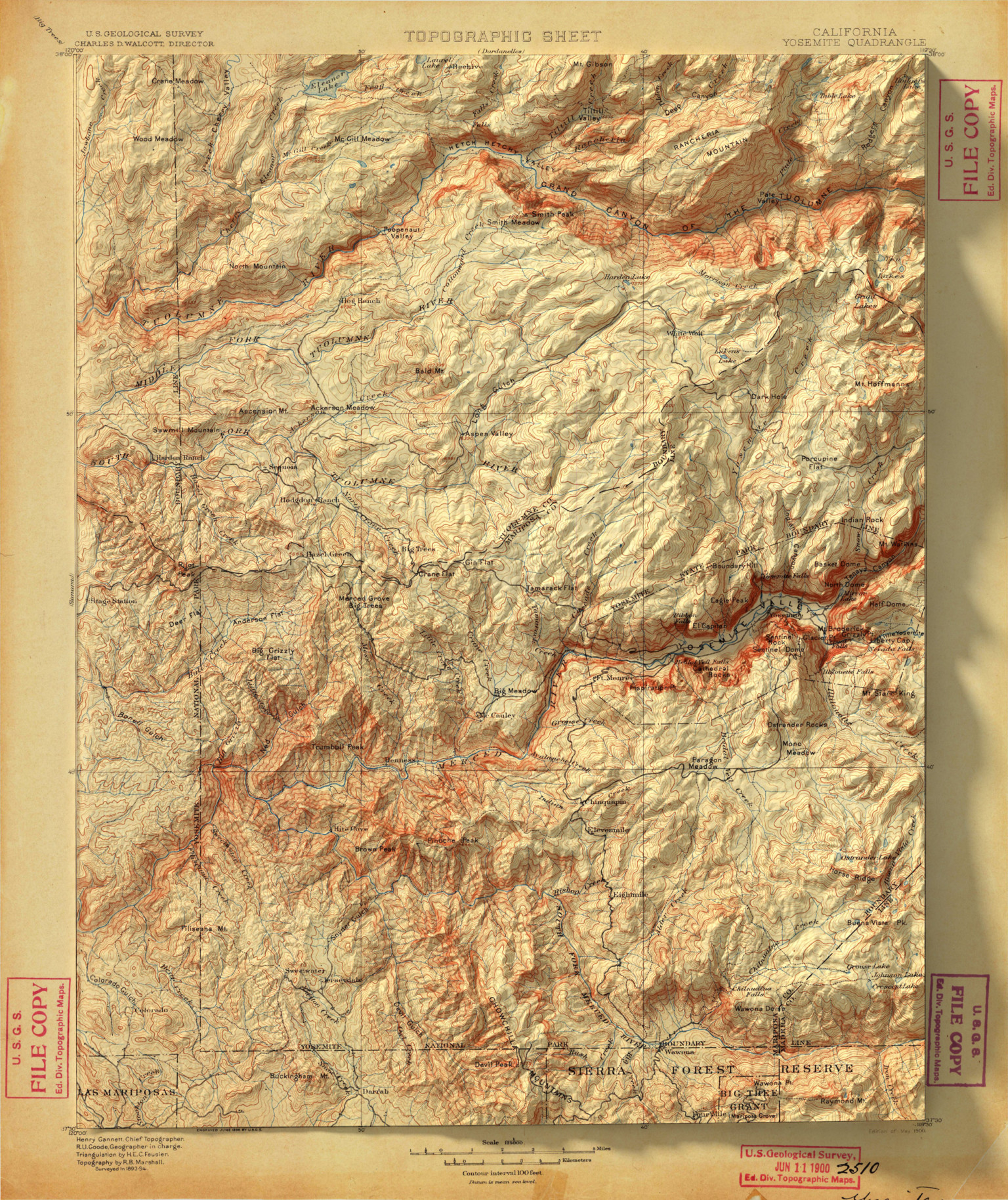 1900-Yosemite-768x914@2x