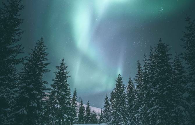 Discovering Norwegian Nature with Even Tryggstrand
