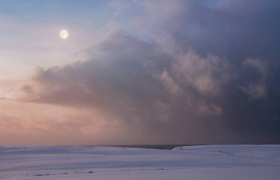 Bjørg-Elise Tuppen’s Moments With The Moon