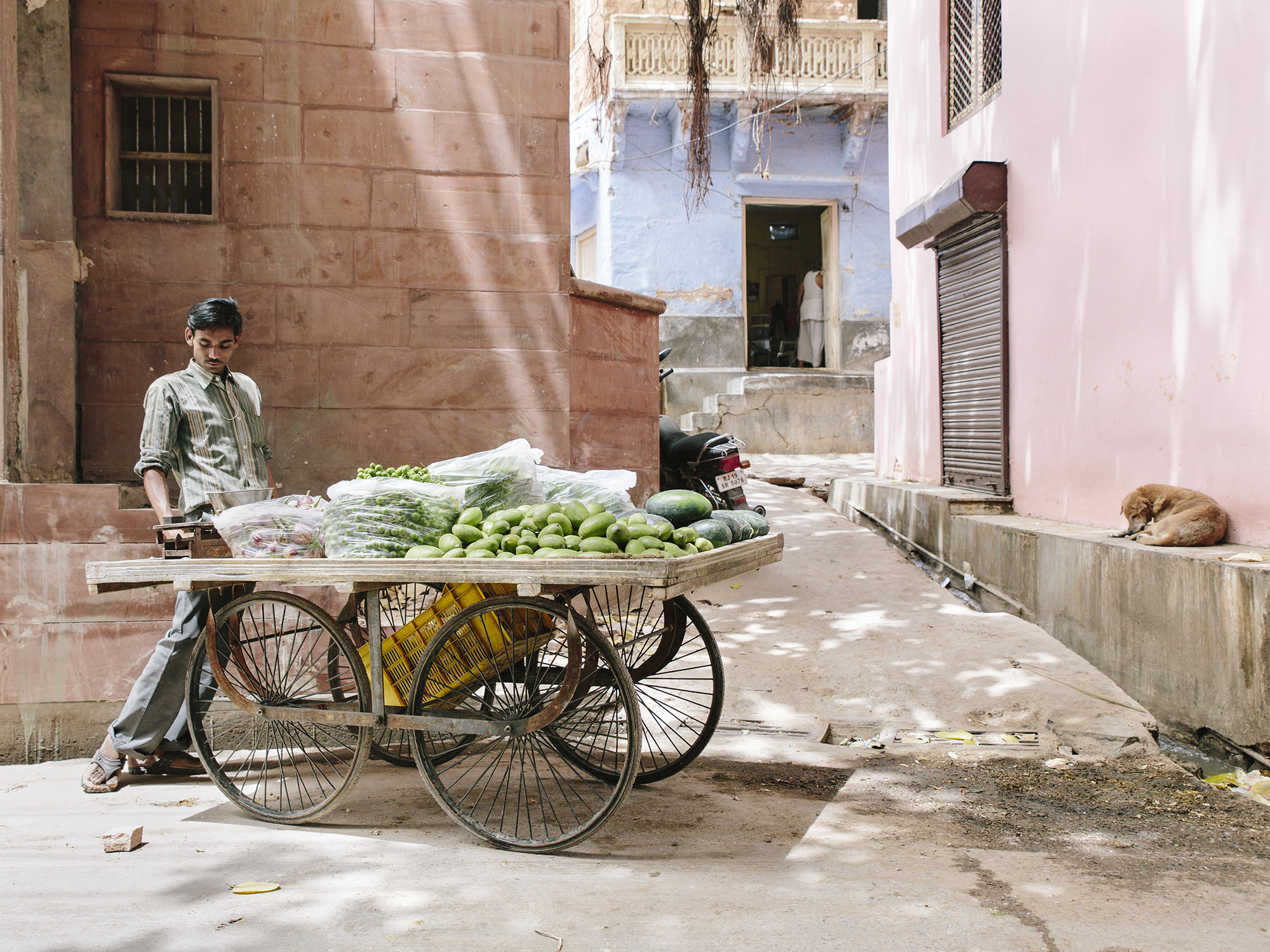 Vegetable vendor,Jodhpur, India. 2017.