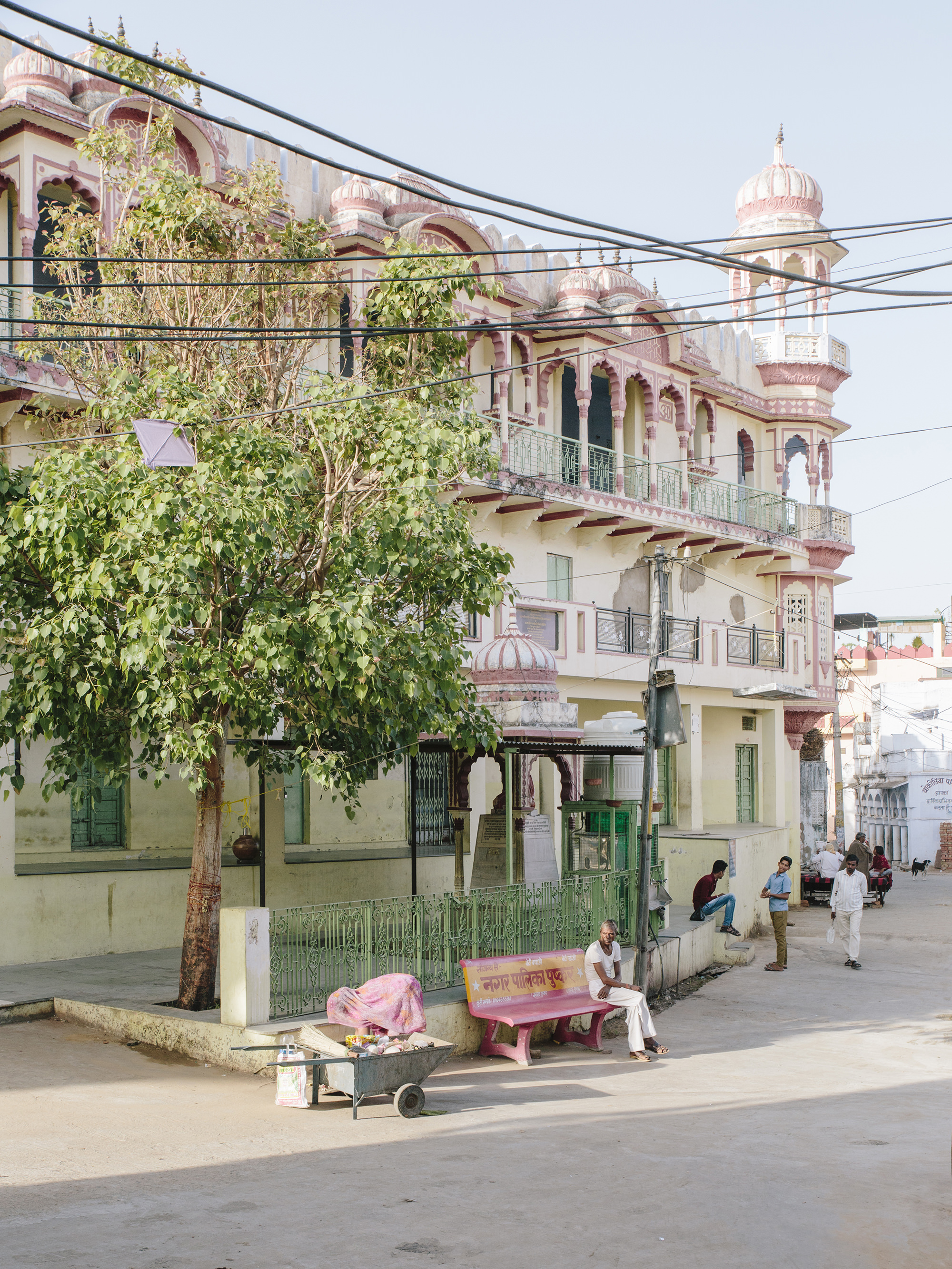 One morning in the streets of Jodhpur. India. 2017.