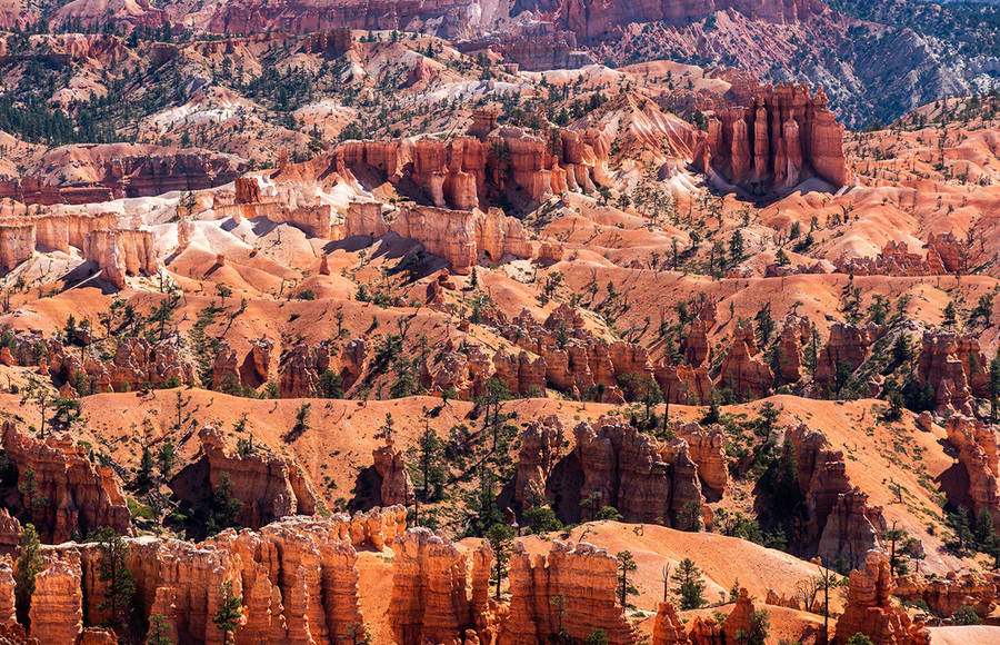 Jennifer Esseiva’s Visual Crossing of Utah