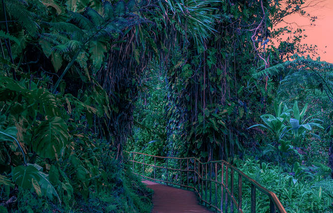 Mischelle Moy&rsquo;s Colorful Pictures Of Hawaï