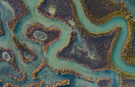 The Importance and Beauty of Water in Aerial Photos