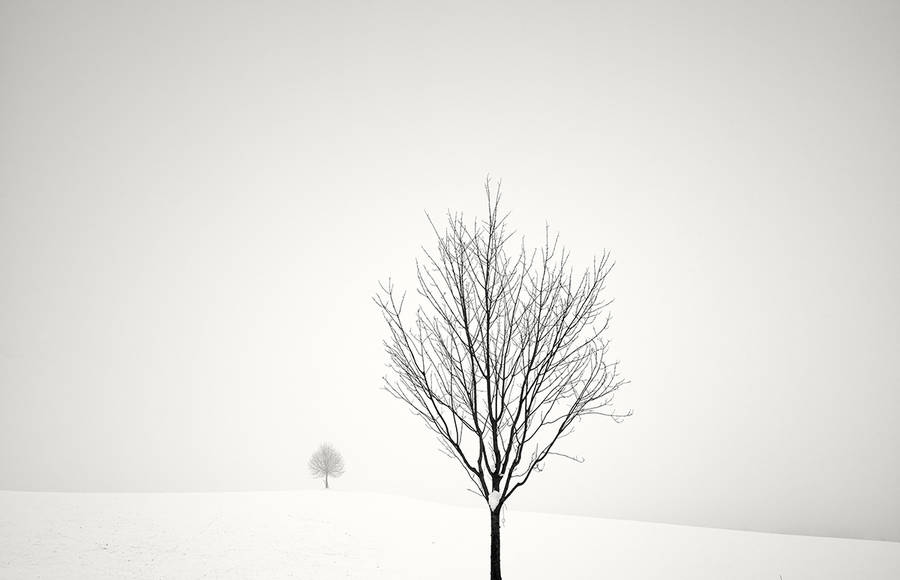 Pierre Pellegrini Captures the Calm Beauty of Winter