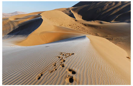 Chinese Desert By Viktoria Porsche