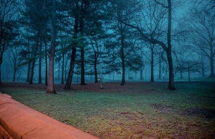 A Brooklyn Park by Franck Bohbot