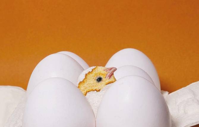 Unexpected Miniature Embroideries