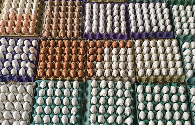 A Hatchery of Fake Eggs