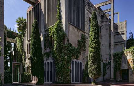 A House in an Ancient Cement Factory