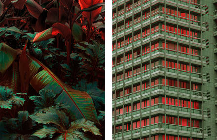 Unreal Worlds by Al Mefer