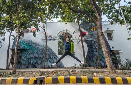 Huge Pigeons on a Wall