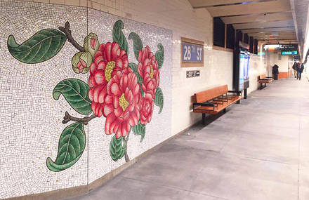 Beautiful Flowers in 28th Street Station