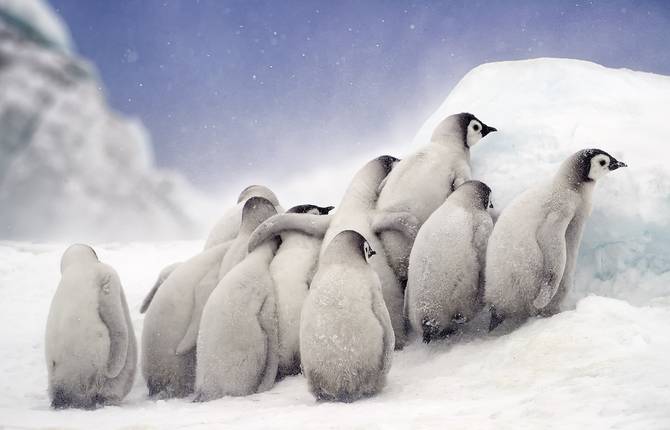 The Shortlisted of the Sony World Photography 2019