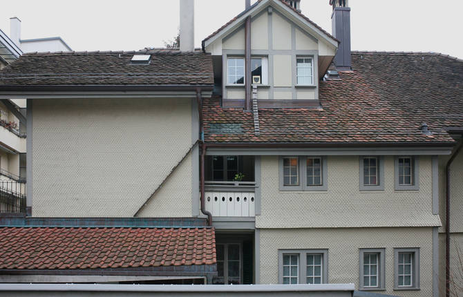 A Story about Cat Ladders in Switzerland