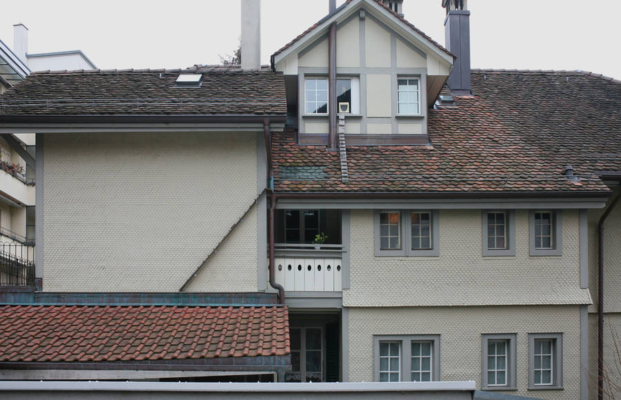 A Story about Cat Ladders in Switzerland