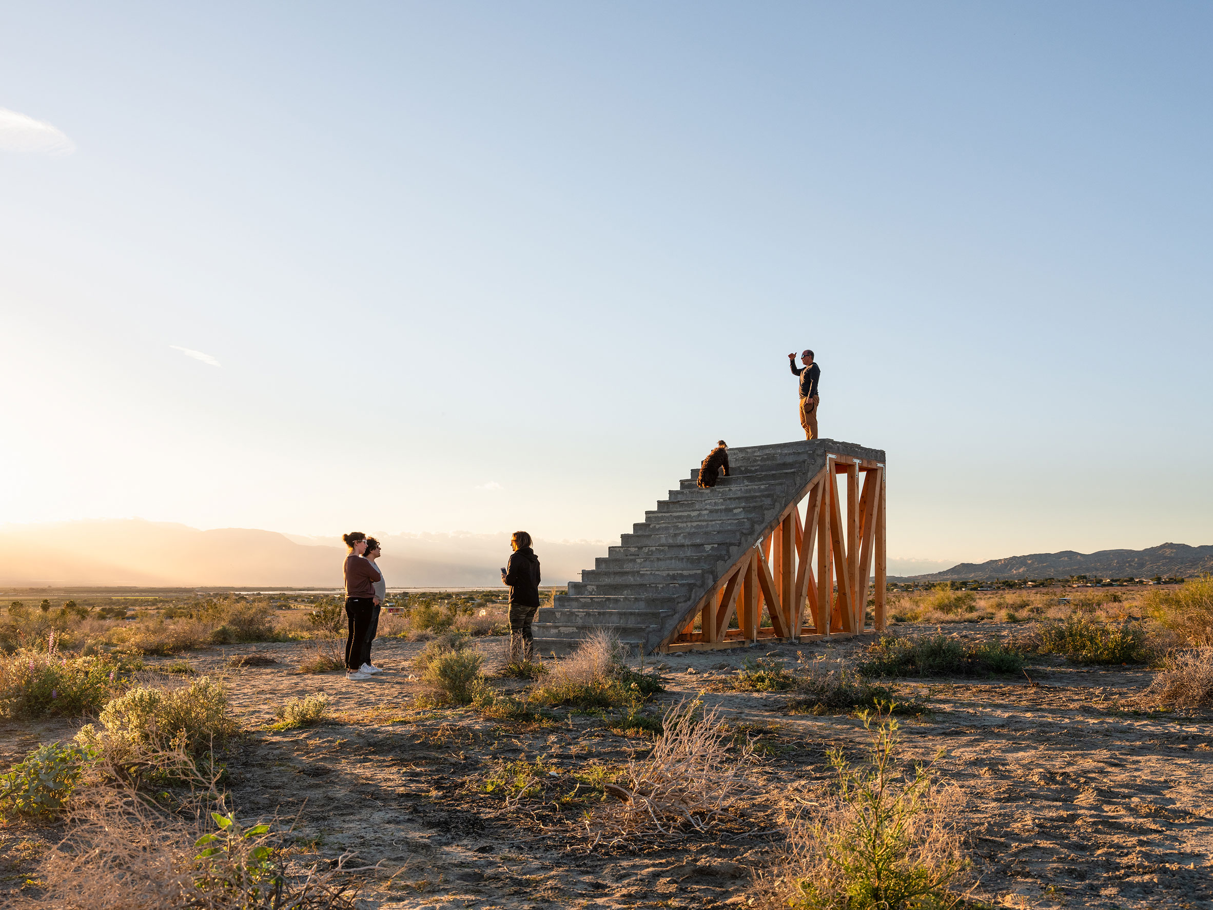 desertX6