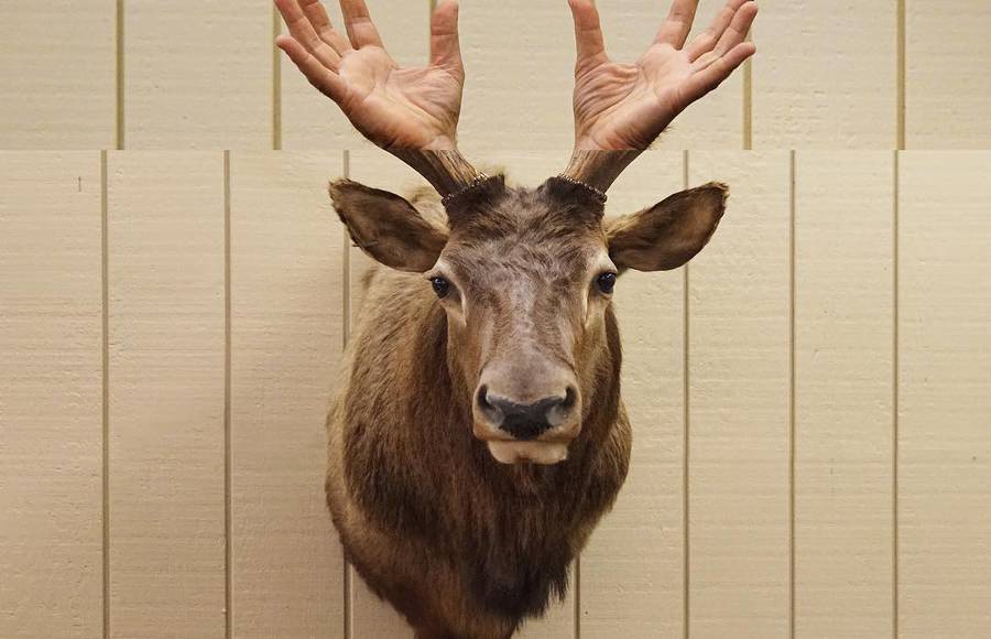 Stephen McMennamy and His Weird, But Funny Photo Collages